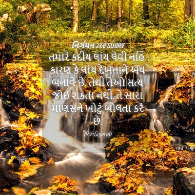 Picture 04 - નિર્ગમન 23:8 GUJIRV - તમારે કદીય લાંચ - Bible Verse Picture
