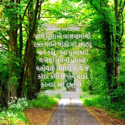 Picture 04 - નિર્ગમન 24:8 GUJIRV - પછી મૂસાએ - Bible Verse Picture