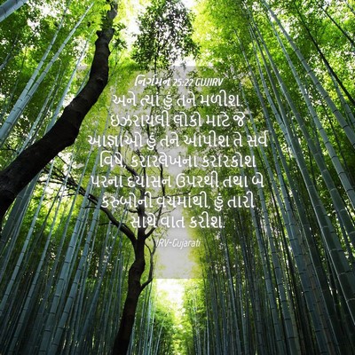 Picture 04 - નિર્ગમન 25:22 GUJIRV - અને ત્યાં હું તને - Bible Verse Picture