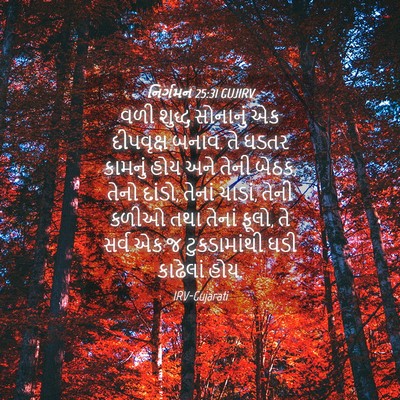 Picture 04 - નિર્ગમન 25:31 GUJIRV - વળી શુદ્ધ સોનાનું - Bible Verse Picture
