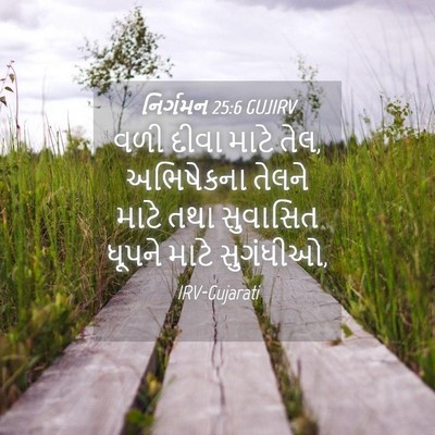 Picture 04 - નિર્ગમન 25:6 GUJIRV - વળી દીવા માટે તેલ, - Bible Verse Picture