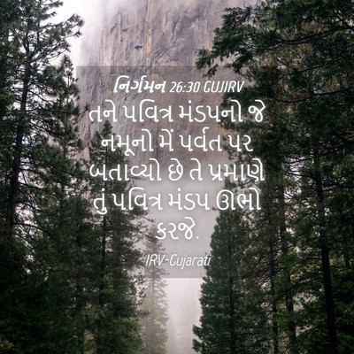 Picture 04 - નિર્ગમન 26:30 GUJIRV - તને પવિત્ર મંડપનો - Bible Verse Picture