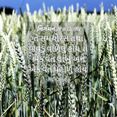 Picture 04 - નિર્ગમન 28:16 GUJIRV - તે સમચોરસ તથા - Bible Verse Picture