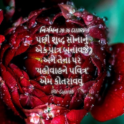 Picture 04 - નિર્ગમન 28:36 GUJIRV - પછી શુદ્ધ સોનાનું - Bible Verse Picture