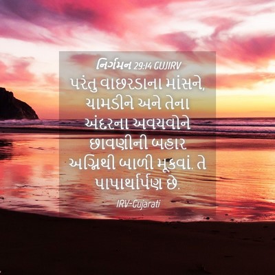 Picture 04 - નિર્ગમન 29:14 GUJIRV - પરંતુ વાછરડાના - Bible Verse Picture