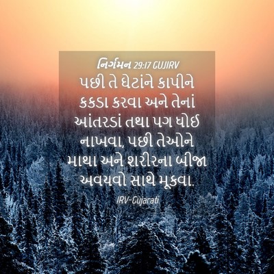 Picture 04 - નિર્ગમન 29:17 GUJIRV - પછી તે ઘેટાંને - Bible Verse Picture
