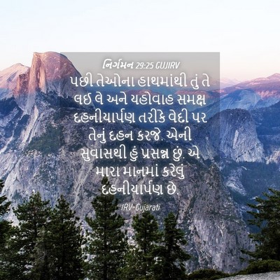 Picture 04 - નિર્ગમન 29:25 GUJIRV - પછી તેઓના - Bible Verse Picture