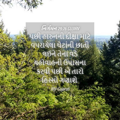 Picture 04 - નિર્ગમન 29:26 GUJIRV - પછી હારુનની - Bible Verse Picture
