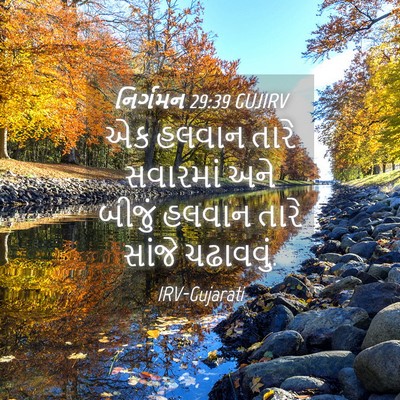 Picture 04 - નિર્ગમન 29:39 GUJIRV - એક હલવાન તારે - Bible Verse Picture