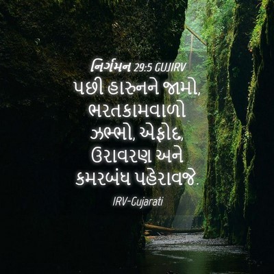 Picture 04 - નિર્ગમન 29:5 GUJIRV - પછી હારુનને જામો, - Bible Verse Picture