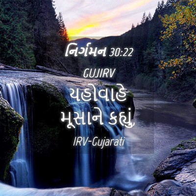 Picture 04 - નિર્ગમન 30:22 GUJIRV - યહોવાહે મૂસાને - Bible Verse Picture