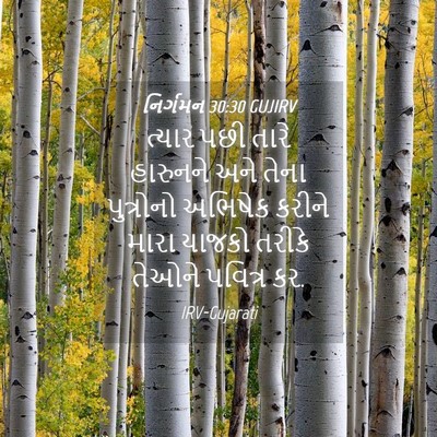 Picture 04 - નિર્ગમન 30:30 GUJIRV - ત્યાર પછી તારે - Bible Verse Picture