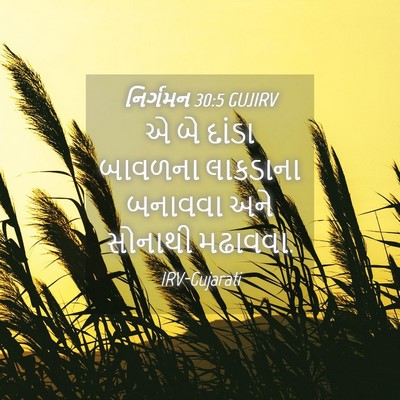 Picture 04 - નિર્ગમન 30:5 GUJIRV - એ બે દાંડા બાવળના - Bible Verse Picture