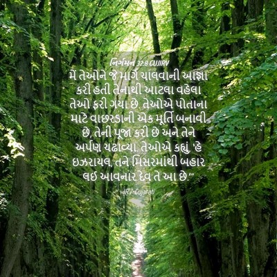 Picture 04 - નિર્ગમન 32:8 GUJIRV - મેં તેઓને જે - Bible Verse Picture