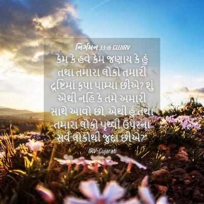 Picture 04 - નિર્ગમન 33:16 GUJIRV - કેમ કે હવે કેમ જણાય - Bible Verse Picture