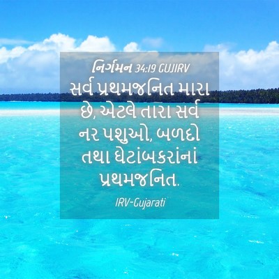 Picture 04 - નિર્ગમન 34:19 GUJIRV - સર્વ પ્રથમજનિત - Bible Verse Picture