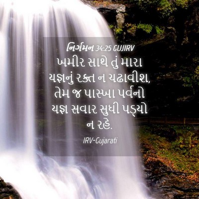 Picture 04 - નિર્ગમન 34:25 GUJIRV - ખમીર સાથે તું મારા - Bible Verse Picture