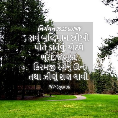 Picture 04 - નિર્ગમન 35:25 GUJIRV - સર્વ બુદ્ધિમાન - Bible Verse Picture