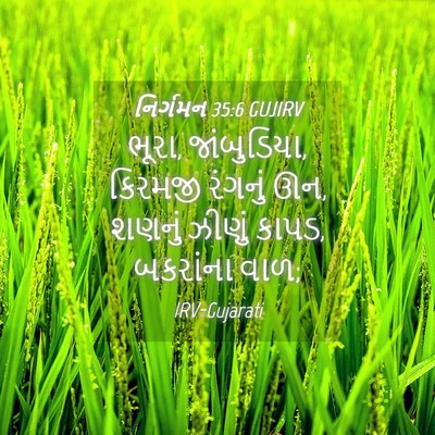 Picture 04 - નિર્ગમન 35:6 GUJIRV - ભૂરા, જાંબુડિયા, - Bible Verse Picture