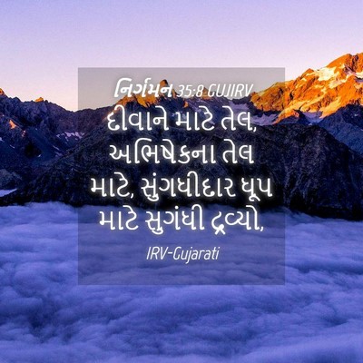 Picture 04 - નિર્ગમન 35:8 GUJIRV - દીવાને માટે તેલ, - Bible Verse Picture