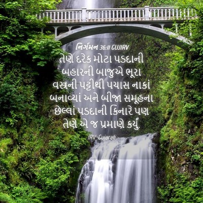 Picture 04 - નિર્ગમન 36:11 GUJIRV - તેણે દરેક મોટા - Bible Verse Picture