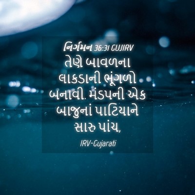 Picture 04 - નિર્ગમન 36:31 GUJIRV - તેણે બાવળના - Bible Verse Picture