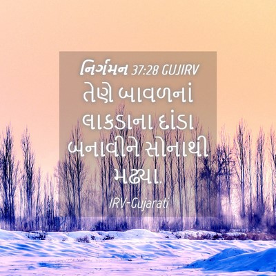 Picture 04 - નિર્ગમન 37:28 GUJIRV - તેણે બાવળનાં - Bible Verse Picture