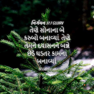 Picture 04 - નિર્ગમન 37:7 GUJIRV - તેણે સોનાના બે - Bible Verse Picture