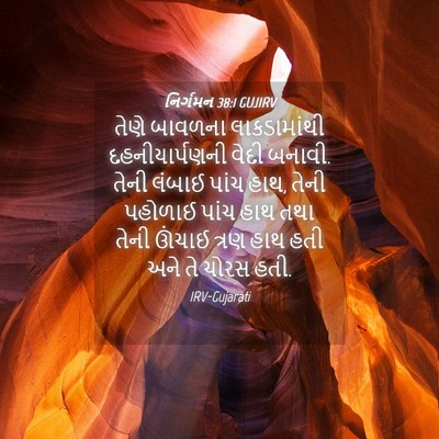 Picture 04 - નિર્ગમન 38:1 GUJIRV - તેણે બાવળના - Bible Verse Picture