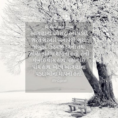 Picture 04 - નિર્ગમન 38:18 GUJIRV - આંગણાના - Bible Verse Picture