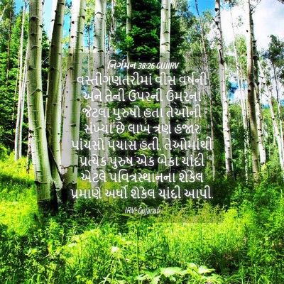 Picture 04 - નિર્ગમન 38:26 GUJIRV - વસ્તીગણતરીમાં વીસ - Bible Verse Picture