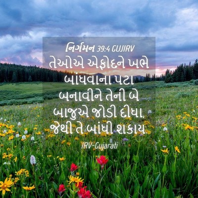 Picture 04 - નિર્ગમન 39:4 GUJIRV - તેઓએ એફોદને ખભે - Bible Verse Picture