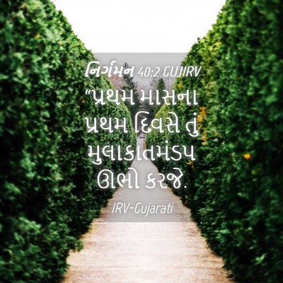 Picture 04 - નિર્ગમન 40:2 GUJIRV - “પ્રથમ માસના - Bible Verse Picture