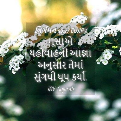 Picture 04 - નિર્ગમન 40:27 GUJIRV - મૂસાએ યહોવાહની - Bible Verse Picture
