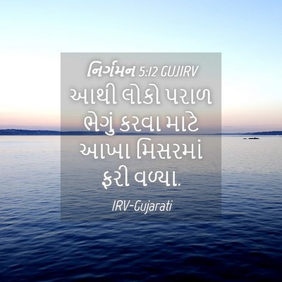 Picture 04 - નિર્ગમન 5:12 GUJIRV - આથી લોકો પરાળ - Bible Verse Picture