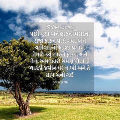 Picture 04 - નિર્ગમન 7:10 GUJIRV - પછી મૂસા અને હારુન - Bible Verse Picture