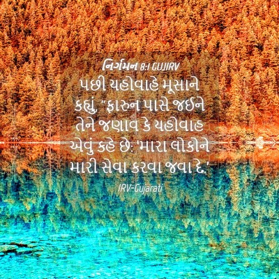 Picture 04 - નિર્ગમન 8:1 GUJIRV - પછી યહોવાહે - Bible Verse Picture