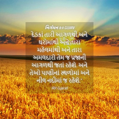 Picture 04 - નિર્ગમન 8:11 GUJIRV - દેડકાં તારી આગળથી - Bible Verse Picture