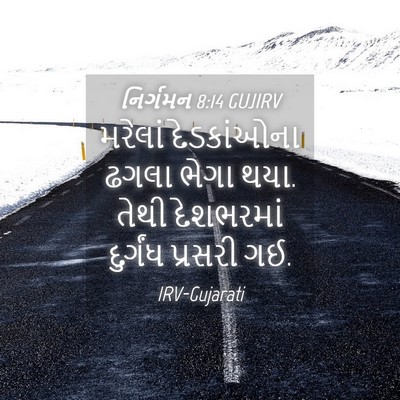 Picture 04 - નિર્ગમન 8:14 GUJIRV - મરેલાં દેડકાંઓના - Bible Verse Picture