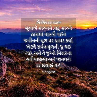 Picture 04 - નિર્ગમન 8:17 GUJIRV - મૂસાએ હારુનને - Bible Verse Picture