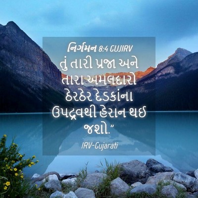 Picture 04 - નિર્ગમન 8:4 GUJIRV - તું તારી પ્રજા અને - Bible Verse Picture