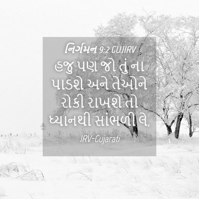 Picture 04 - નિર્ગમન 9:2 GUJIRV - હજુ પણ જો તું ના - Bible Verse Picture