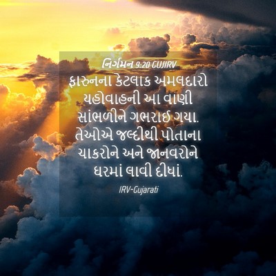 Picture 04 - નિર્ગમન 9:20 GUJIRV - ફારુનના કેટલાક - Bible Verse Picture