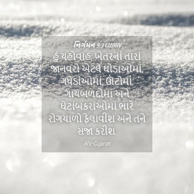 Picture 04 - નિર્ગમન 9:3 GUJIRV - હું યહોવાહ, - Bible Verse Picture