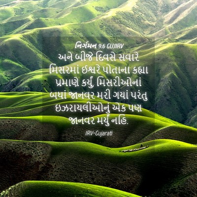 Picture 04 - નિર્ગમન 9:6 GUJIRV - અને બીજે દિવસે - Bible Verse Picture