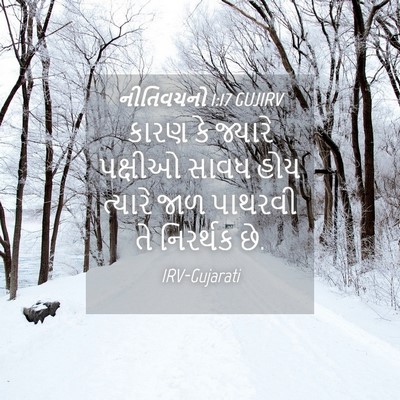 Picture 04 - નીતિવચનો 1:17 GUJIRV - કારણ કે જ્યારે - Bible Verse Picture