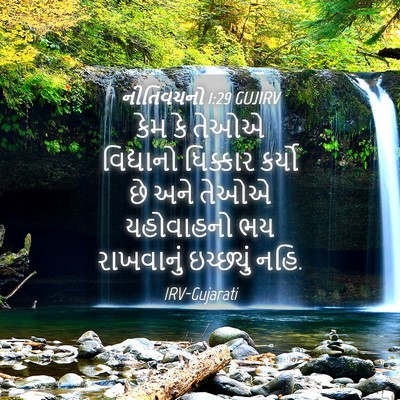 Picture 04 - નીતિવચનો 1:29 GUJIRV - કેમ કે તેઓએ - Bible Verse Picture