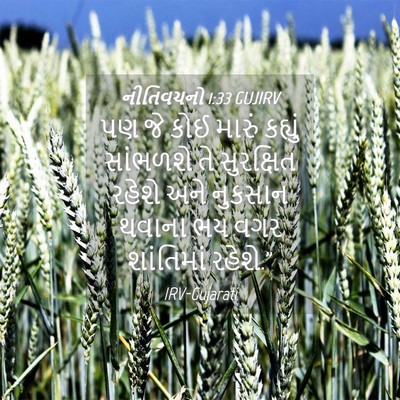 Picture 04 - નીતિવચનો 1:33 GUJIRV - પણ જે કોઈ મારું - Bible Verse Picture
