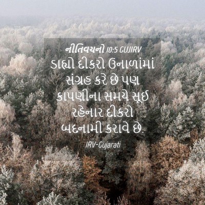 Picture 04 - નીતિવચનો 10:5 GUJIRV - ડાહ્યો દીકરો - Bible Verse Picture