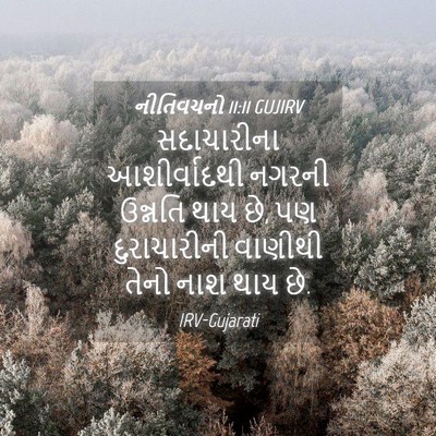 Picture 04 - નીતિવચનો 11:11 GUJIRV - સદાચારીના - Bible Verse Picture